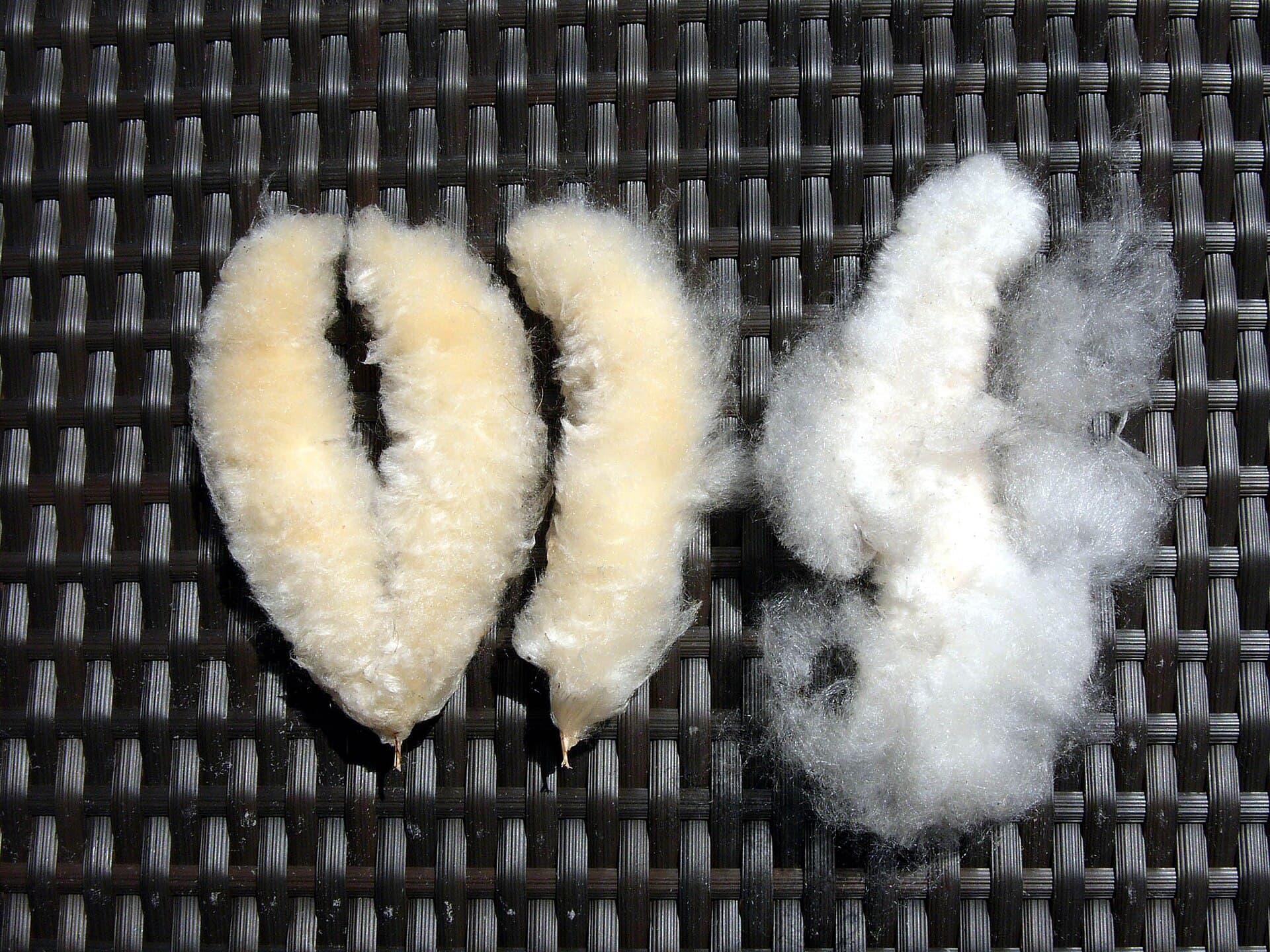 Fluffy cottonized banana fiber staple, a kapok substitute for spinning mills